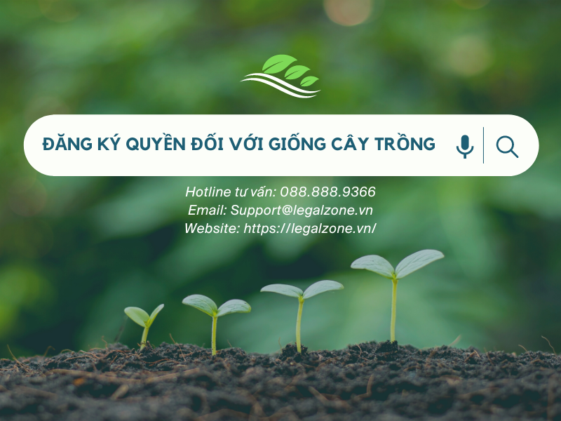 Thủ tục đăng ký sở hữu trí tuệ tại Việt Nam