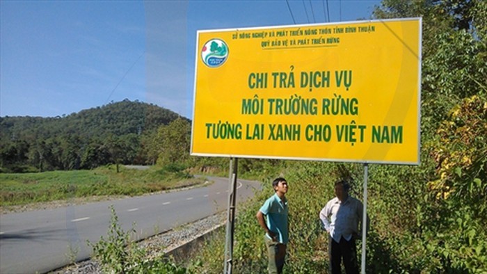 Dịch vụ môi trường rừng