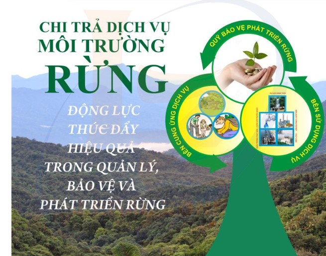 Chi trả dịch vụ môi trường rừng