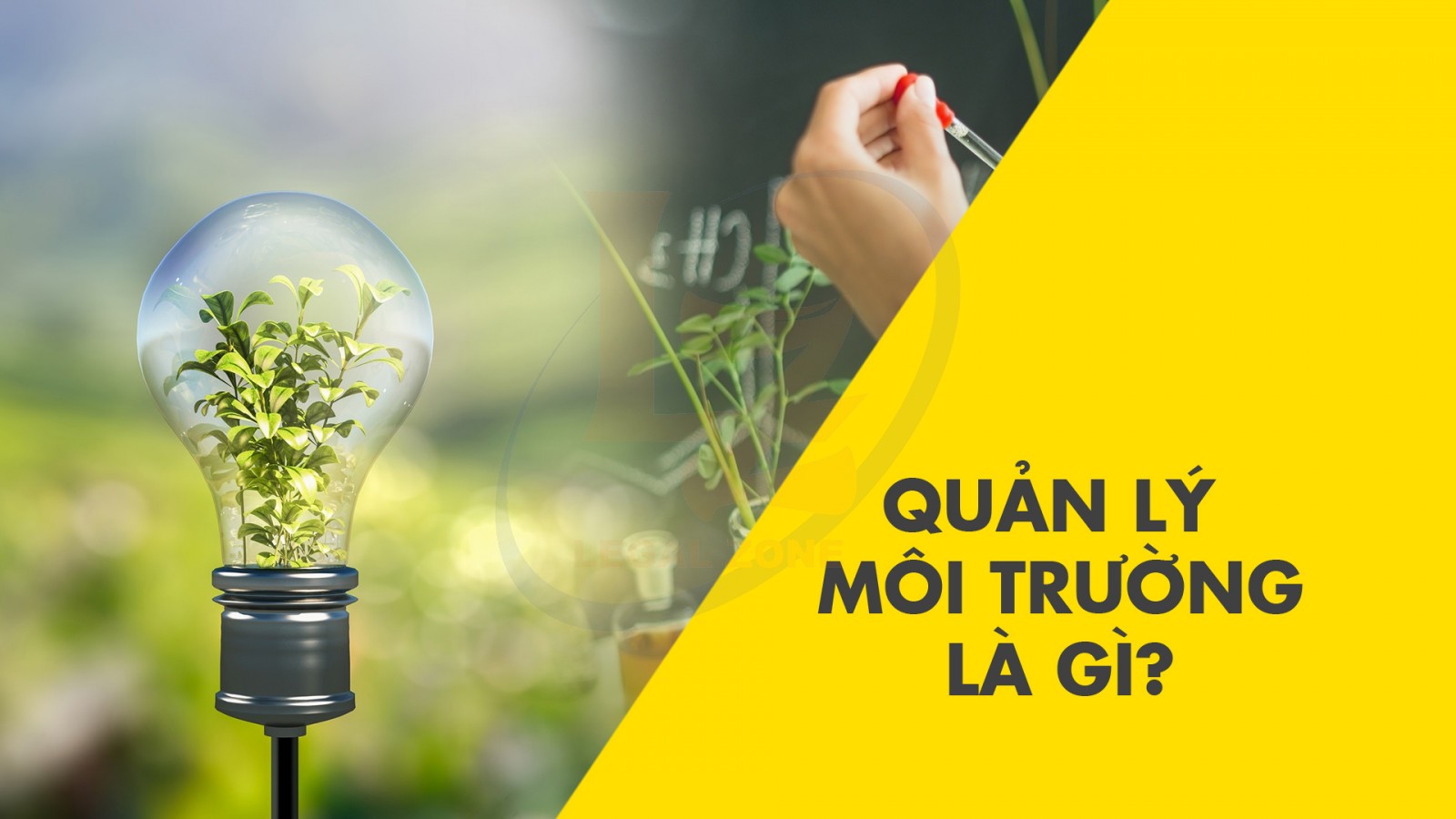 Quản lý môi trường