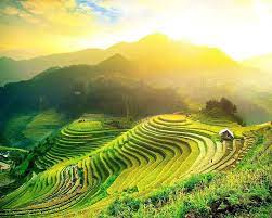 Top 10 Luật sư tỉnh Hà Giang