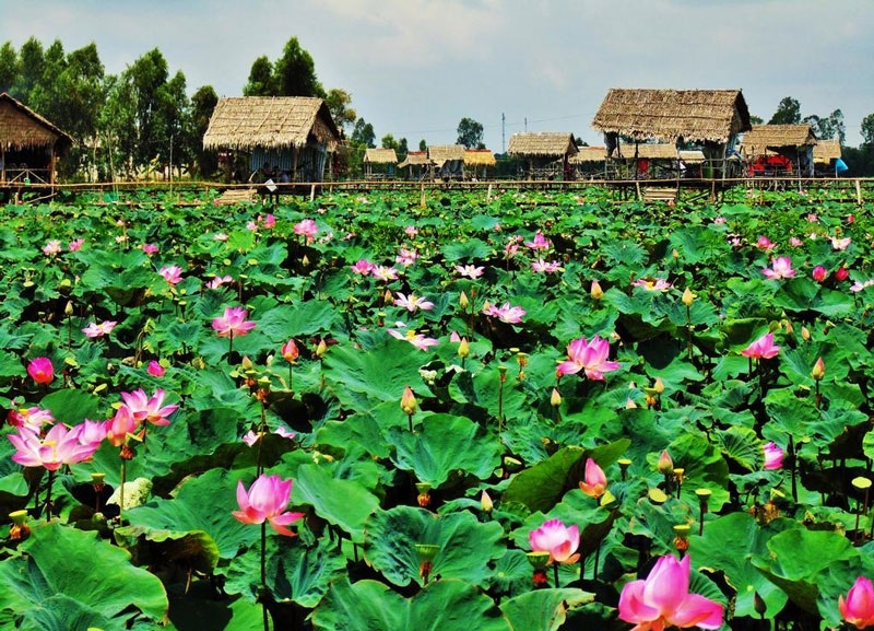 Top 10 luật sư tỉnh Đồng Tháp