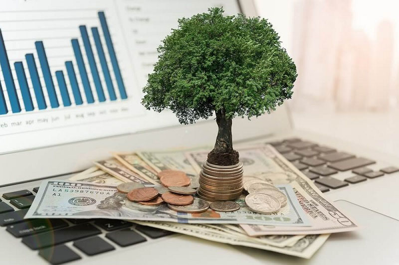 Tại sao phải đóng thuế? Tại sao có nhiều loại thuế khác nhau?