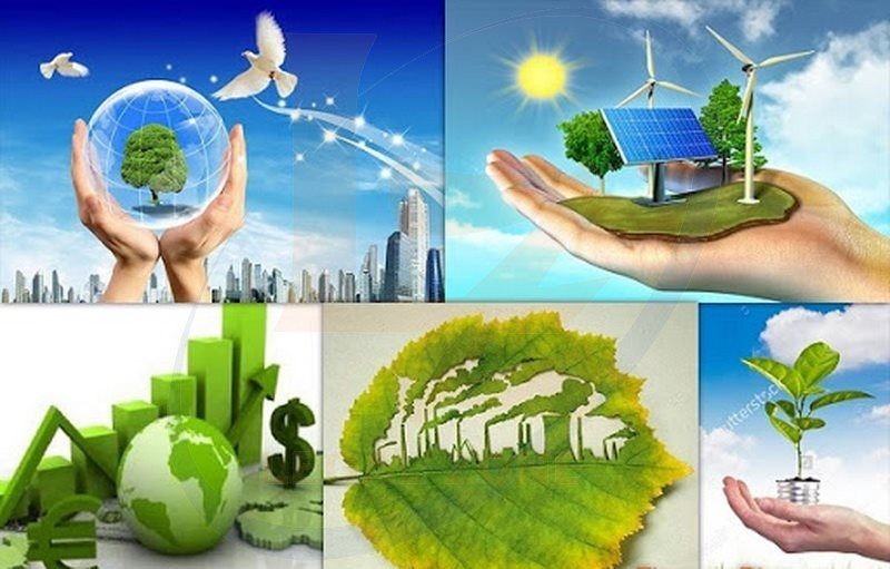 Vai trò của môi trường, quy định của pháp luật về bảo vệ môi trường.