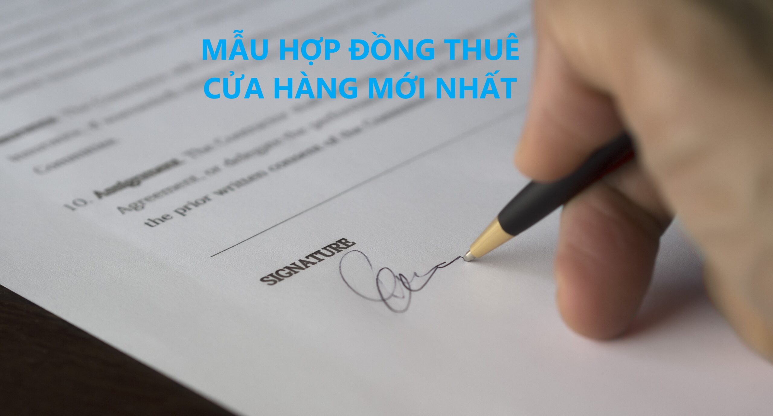 Hợp đồng thuê cửa hàng