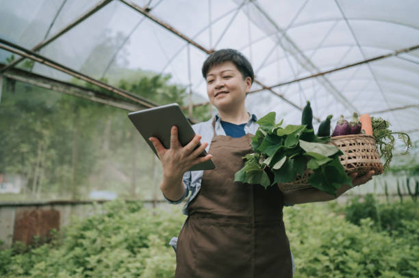 Giấy chứng nhận vốn góp của công ty TNHH